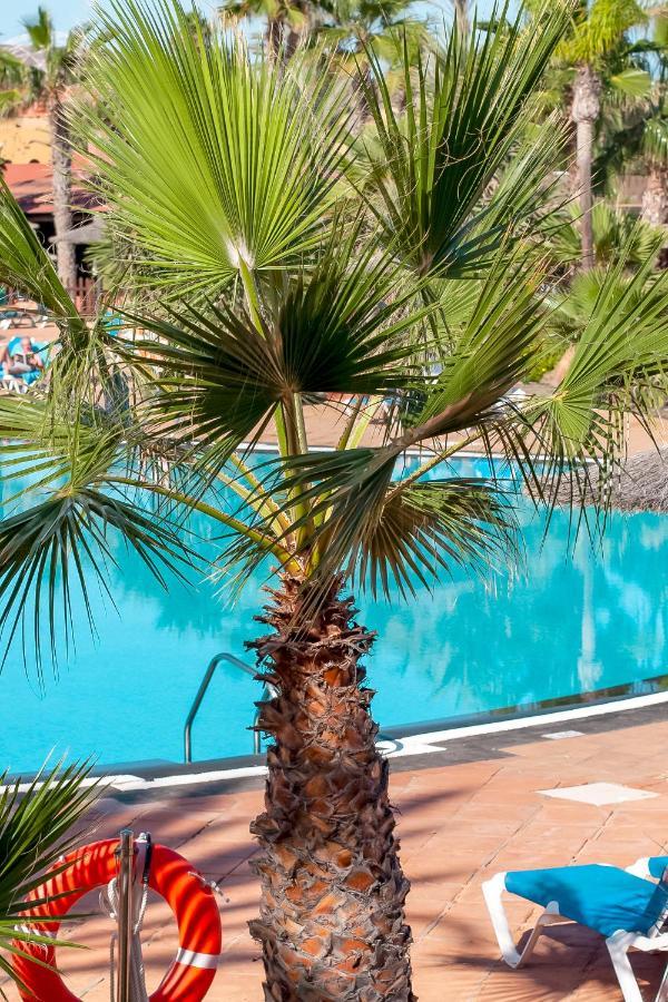 קורלחו Oasis Fuerteventura Beach Apartments מראה חיצוני תמונה